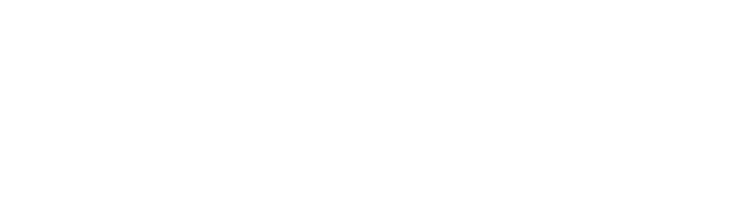 El inicio de tu negocio con asesoría y diseño personalizado.